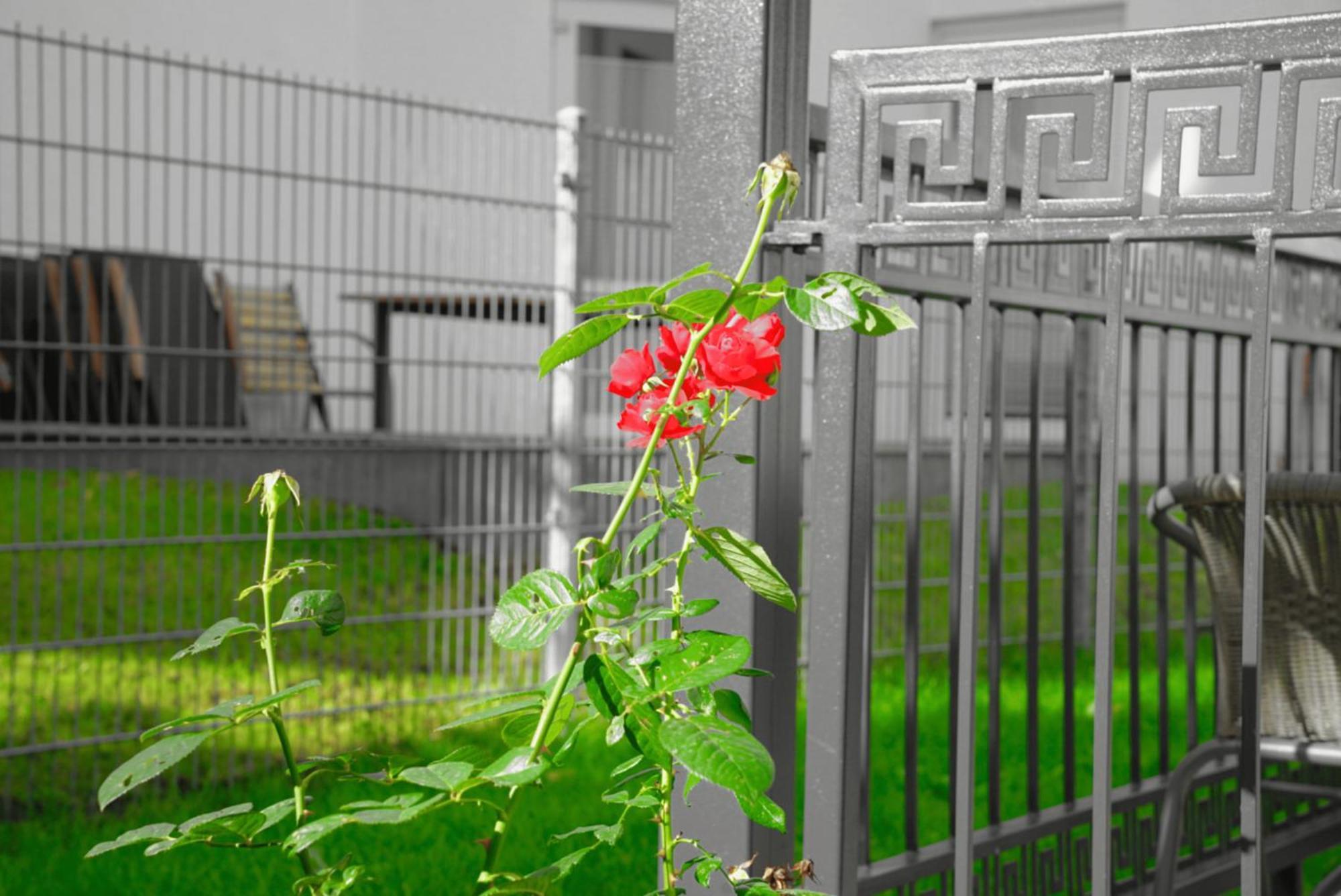 ליבק Gepflegtes Und Schoenes Ferienapartment Im Neubau מראה חיצוני תמונה